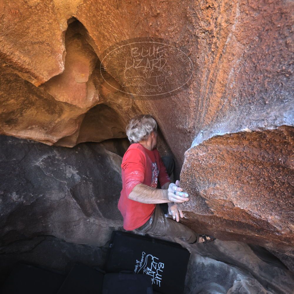 

Filename: SRM_20260117_1458450.jpg
Aperture: f/5.6
Shutter Speed: 1/640
Body: Canon EOS R6
Lens: Canon EF 16-35mm f/2.8 L