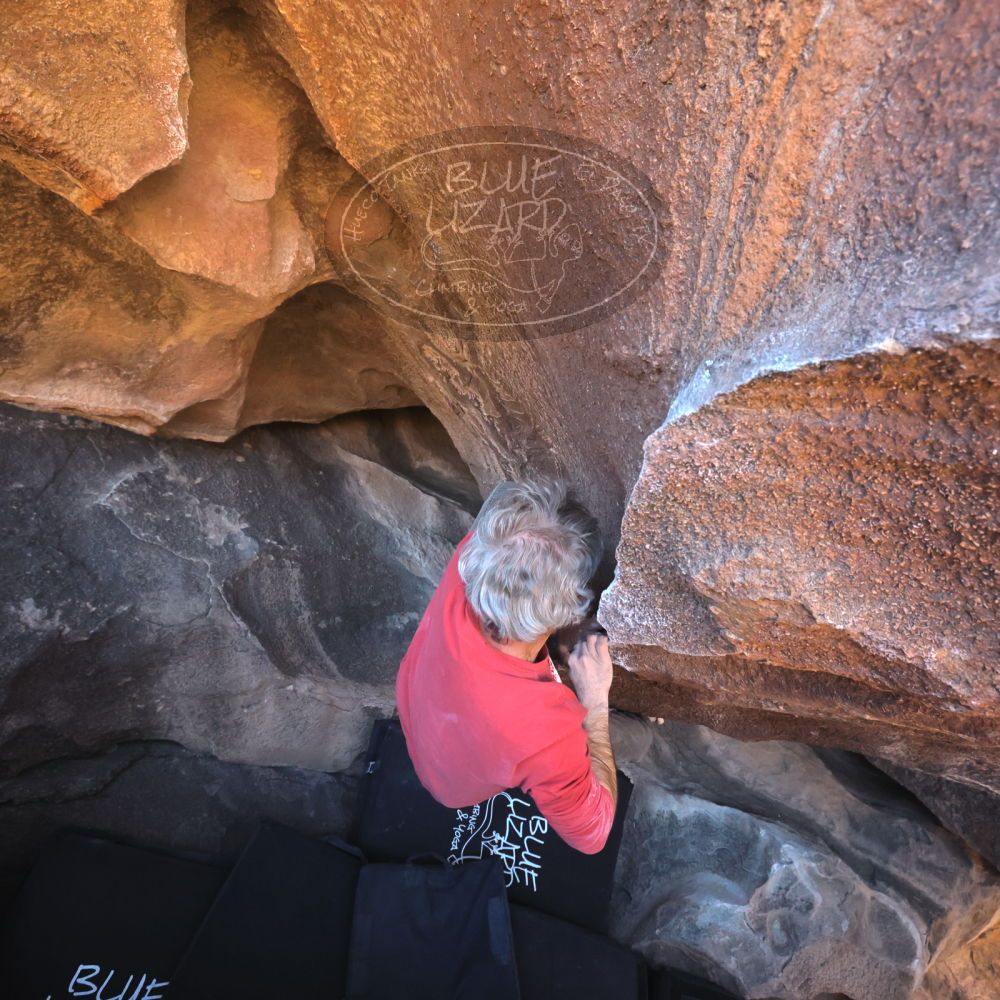 

Filename: SRM_20260117_1500030.jpg
Aperture: f/5.6
Shutter Speed: 1/640
Body: Canon EOS R6
Lens: Canon EF 16-35mm f/2.8 L