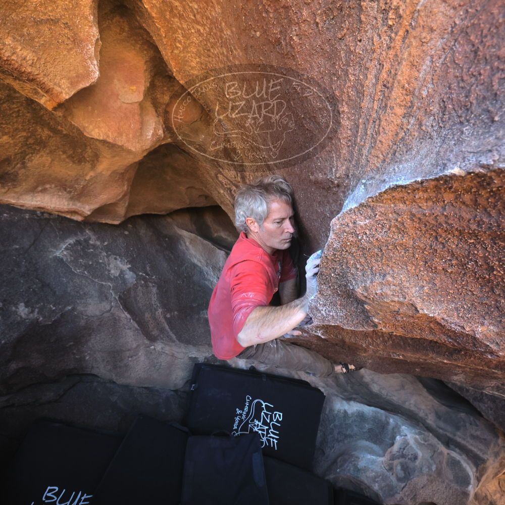 

Filename: SRM_20260117_1500040.jpg
Aperture: f/5.6
Shutter Speed: 1/640
Body: Canon EOS R6
Lens: Canon EF 16-35mm f/2.8 L