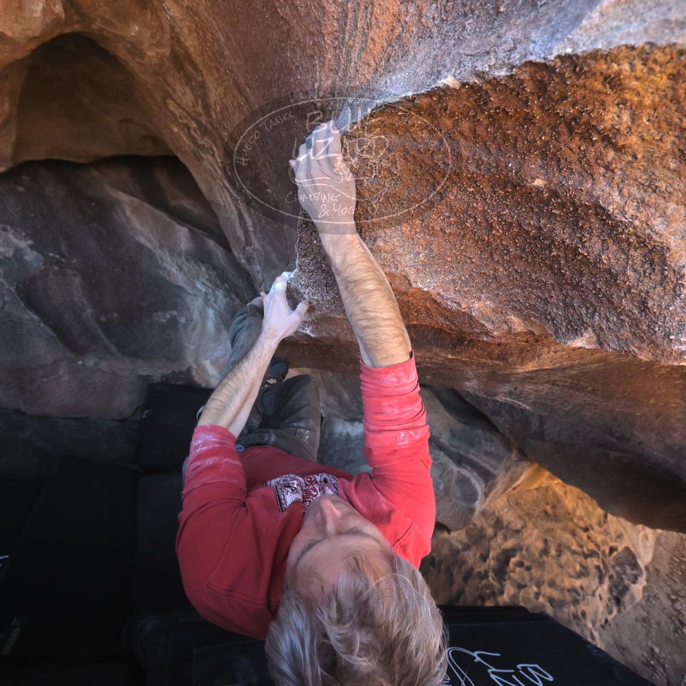 

Filename: SRM_20260117_1501100.jpg
Aperture: f/5.6
Shutter Speed: 1/640
Body: Canon EOS R6
Lens: Canon EF 16-35mm f/2.8 L