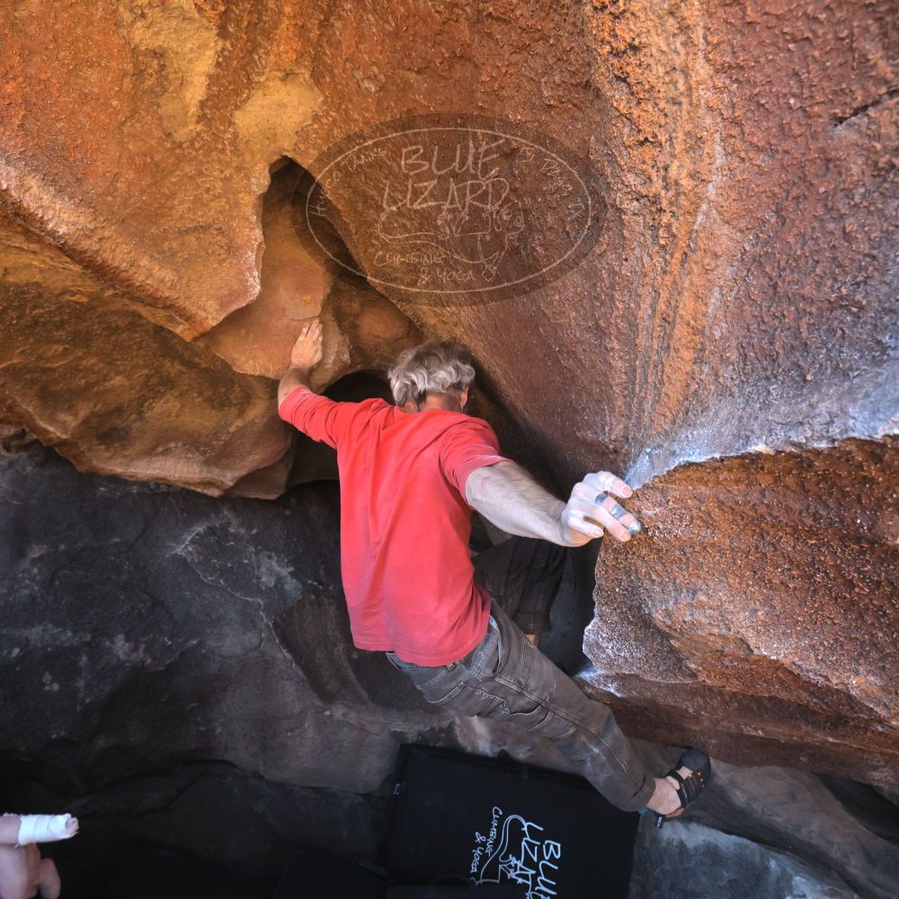 

Filename: SRM_20260117_1501190.jpg
Aperture: f/5.6
Shutter Speed: 1/640
Body: Canon EOS R6
Lens: Canon EF 16-35mm f/2.8 L