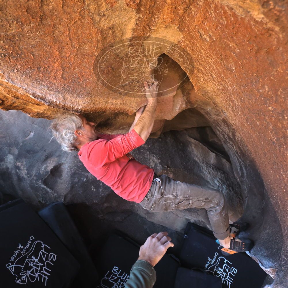 

Filename: SRM_20260117_1501290.jpg
Aperture: f/5.6
Shutter Speed: 1/640
Body: Canon EOS R6
Lens: Canon EF 16-35mm f/2.8 L