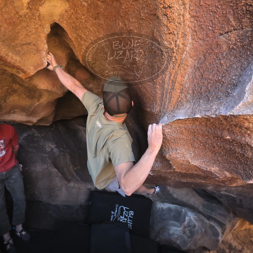 

Filename: SRM_20260117_1503040.jpg
Aperture: f/5.6
Shutter Speed: 1/640
Body: Canon EOS R6
Lens: Canon EF 16-35mm f/2.8 L