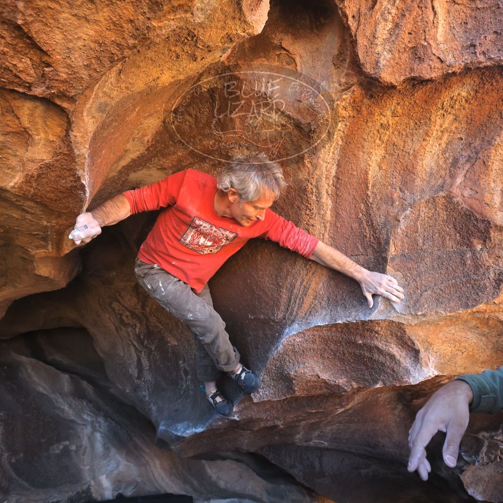 

Filename: SRM_20260117_1512540.jpg
Aperture: f/5.6
Shutter Speed: 1/640
Body: Canon EOS R6
Lens: Canon EF 16-35mm f/2.8 L