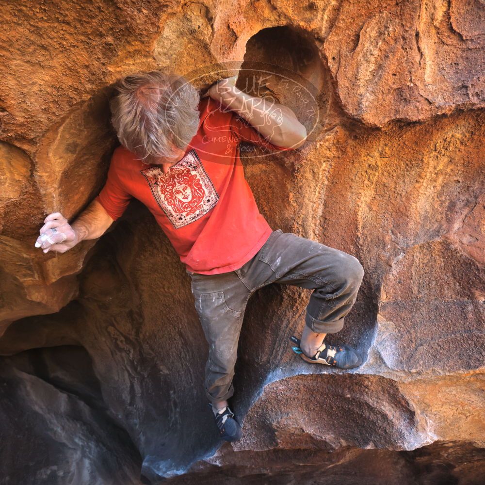 

Filename: SRM_20260117_1513260.jpg
Aperture: f/5.6
Shutter Speed: 1/640
Body: Canon EOS R6
Lens: Canon EF 16-35mm f/2.8 L