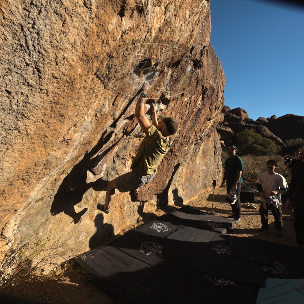 

Filename: SRM_20260117_1549311.jpg
Aperture: f/8.0
Shutter Speed: 1/1000
Body: Canon EOS R6
Lens: Canon EF 16-35mm f/2.8 L