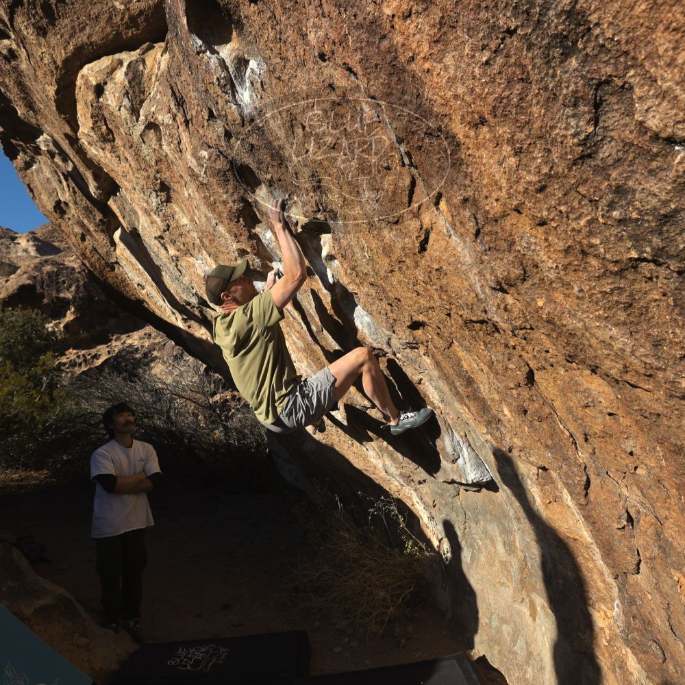 

Filename: SRM_20260117_1603060.jpg
Aperture: f/8.0
Shutter Speed: 1/1000
Body: Canon EOS R6
Lens: Canon EF 16-35mm f/2.8 L