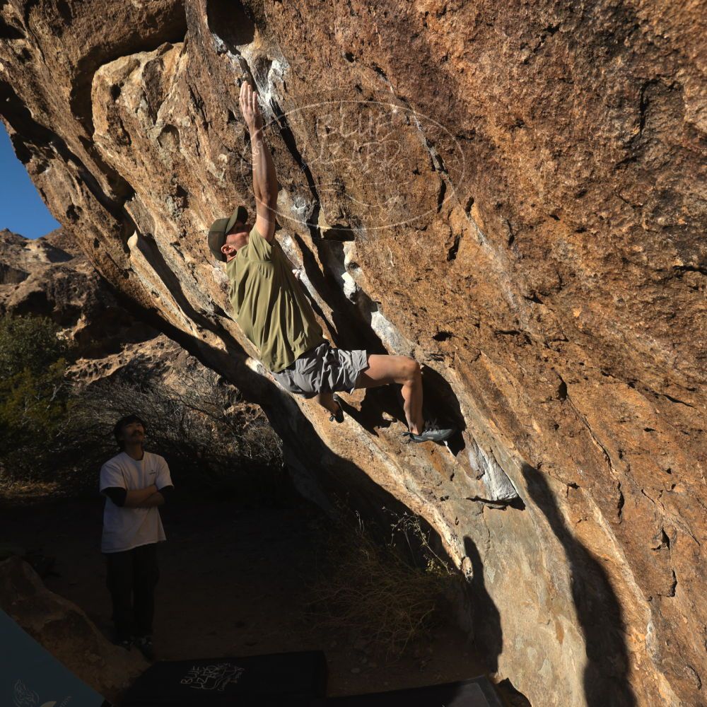 

Filename: SRM_20260117_1603110.jpg
Aperture: f/8.0
Shutter Speed: 1/1000
Body: Canon EOS R6
Lens: Canon EF 16-35mm f/2.8 L