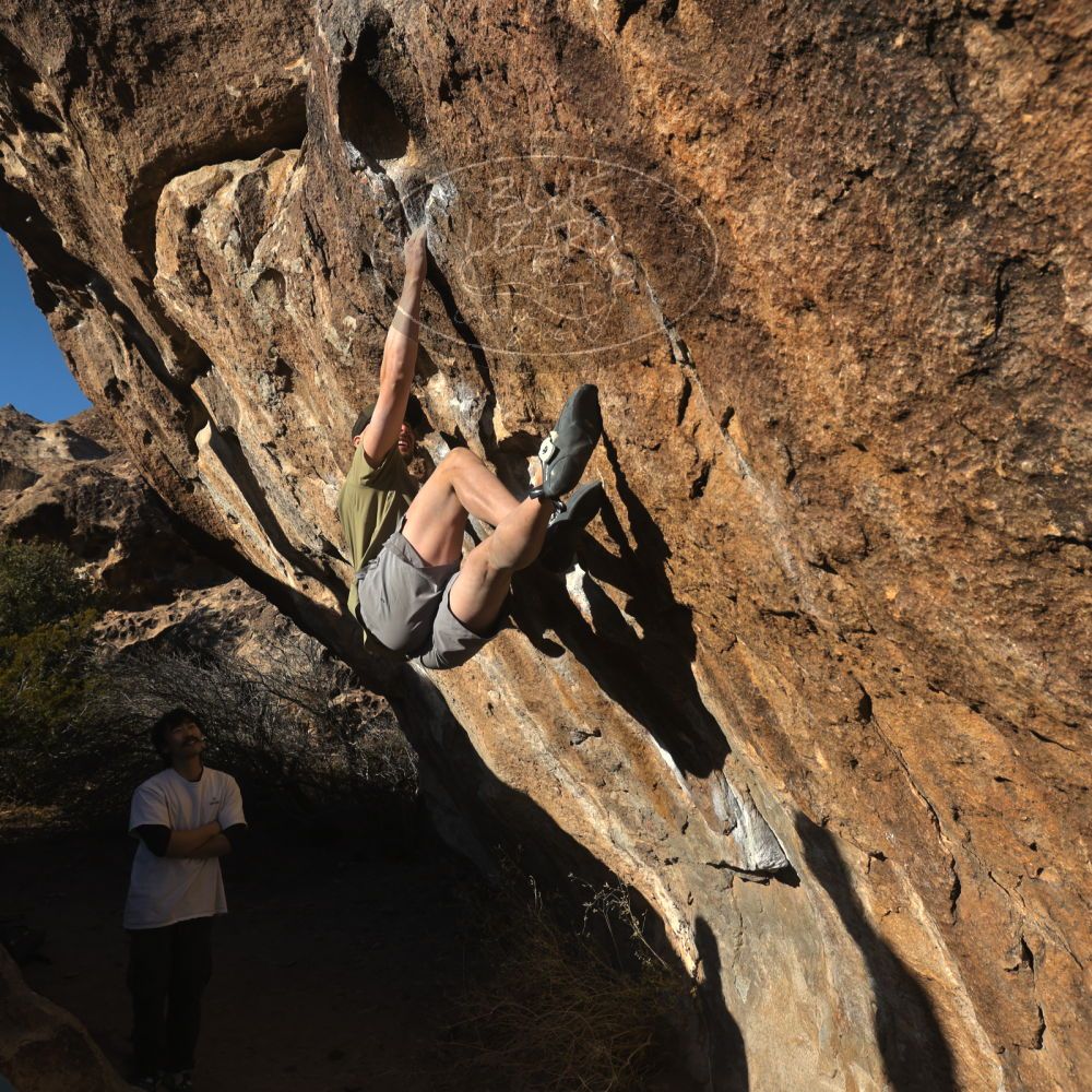 

Filename: SRM_20260117_1603200.jpg
Aperture: f/8.0
Shutter Speed: 1/1000
Body: Canon EOS R6
Lens: Canon EF 16-35mm f/2.8 L