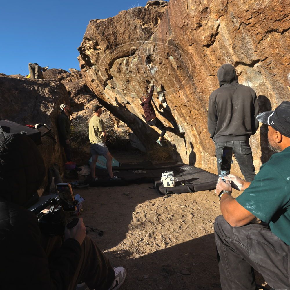 

Filename: SRM_20260117_1611221.jpg
Aperture: f/8.0
Shutter Speed: 1/1000
Body: Canon EOS R6
Lens: Canon EF 16-35mm f/2.8 L