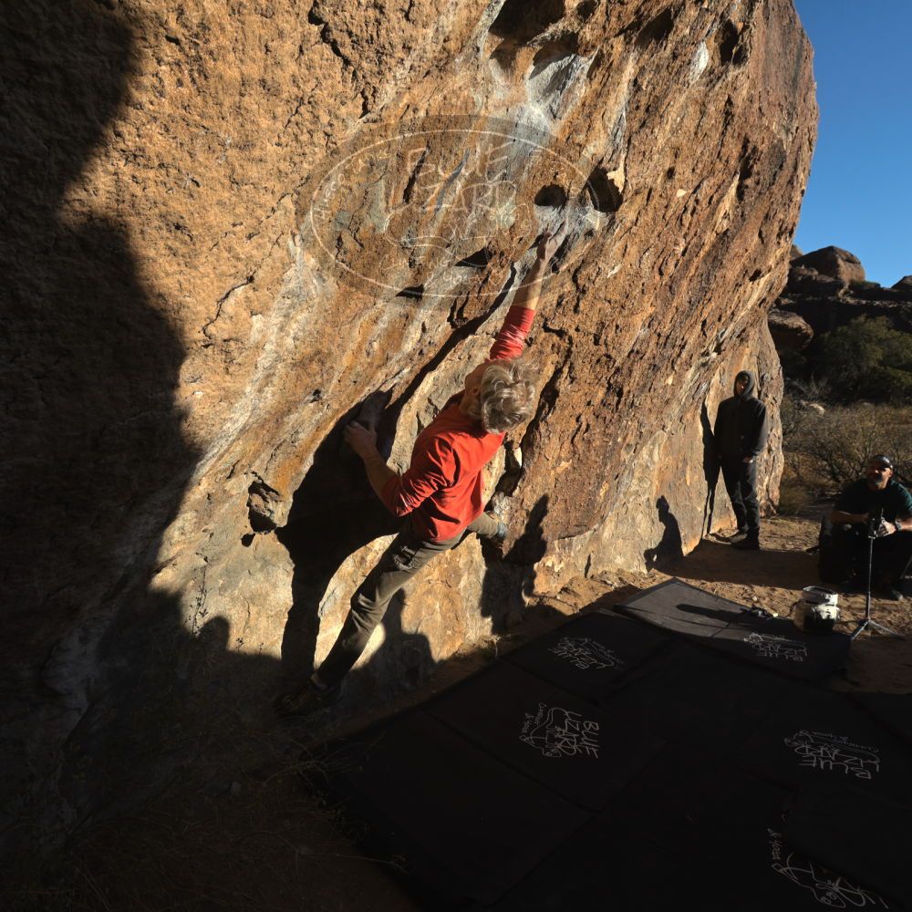 

Filename: SRM_20260117_1624070.jpg
Aperture: f/8.0
Shutter Speed: 1/1000
Body: Canon EOS R6
Lens: Canon EF 16-35mm f/2.8 L