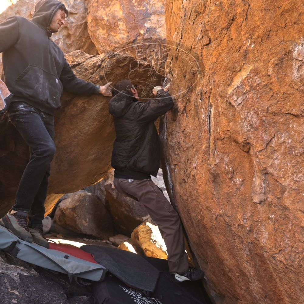 

Filename: SRM_20260117_1009190.jpg
Aperture: f/5.6
Shutter Speed: 1/320
Body: Canon EOS R6
Lens: Canon EF 16-35mm f/2.8 L