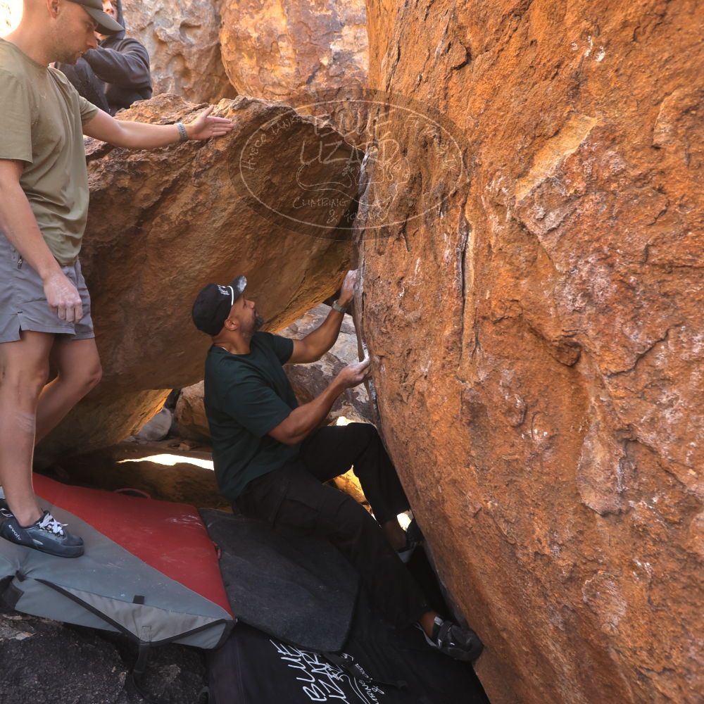 

Filename: SRM_20260117_1016350.jpg
Aperture: f/5.6
Shutter Speed: 1/320
Body: Canon EOS R6
Lens: Canon EF 16-35mm f/2.8 L