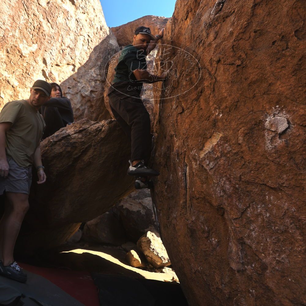 

Filename: SRM_20260117_1016500.jpg
Aperture: f/5.6
Shutter Speed: 1/320
Body: Canon EOS R6
Lens: Canon EF 16-35mm f/2.8 L