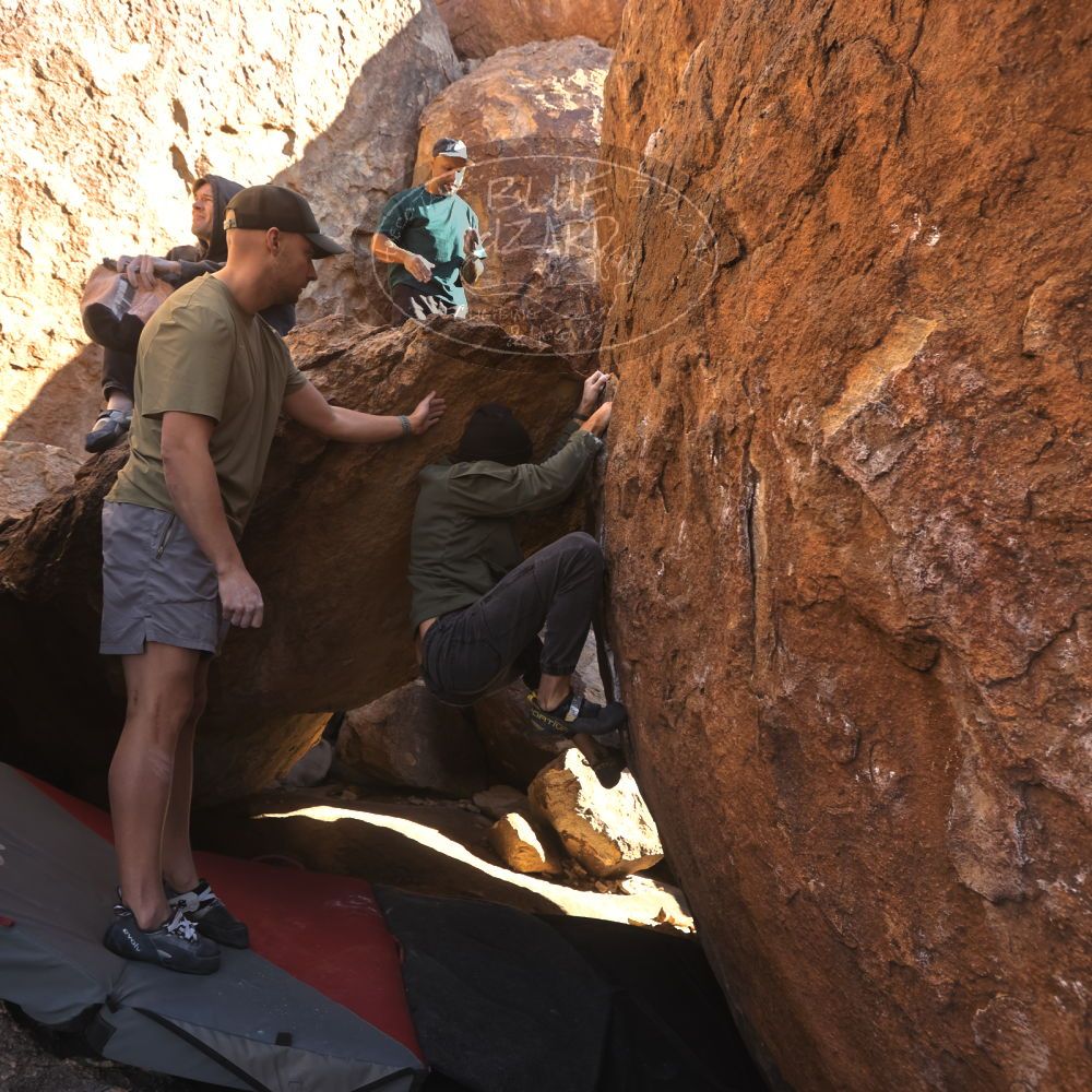 

Filename: SRM_20260117_1017410.jpg
Aperture: f/5.6
Shutter Speed: 1/320
Body: Canon EOS R6
Lens: Canon EF 16-35mm f/2.8 L