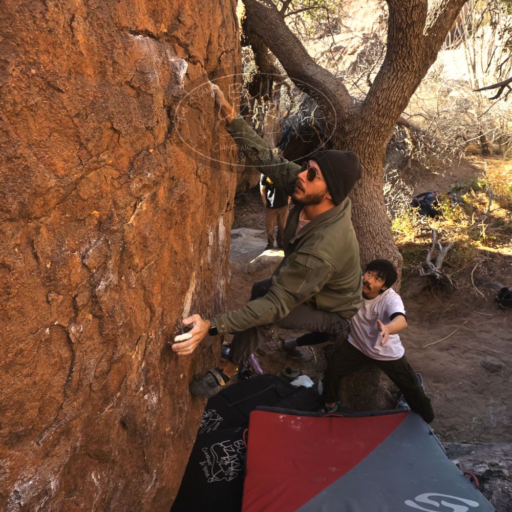 

Filename: SRM_20260117_1024480.jpg
Aperture: f/5.6
Shutter Speed: 1/320
Body: Canon EOS R6
Lens: Canon EF 16-35mm f/2.8 L