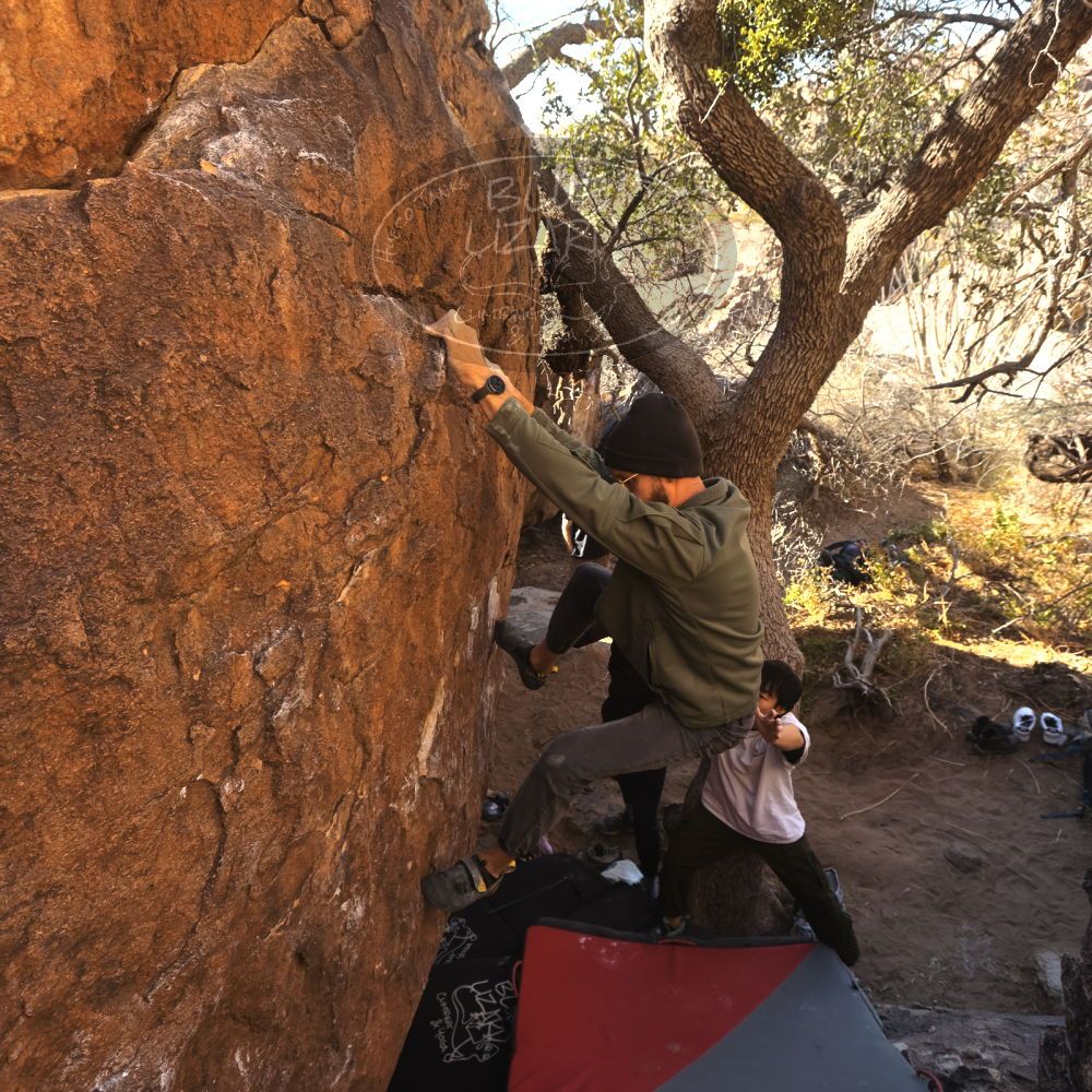 

Filename: SRM_20260117_1024540.jpg
Aperture: f/5.6
Shutter Speed: 1/320
Body: Canon EOS R6
Lens: Canon EF 16-35mm f/2.8 L