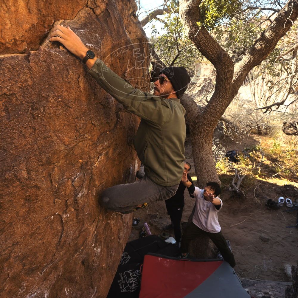 

Filename: SRM_20260117_1024560.jpg
Aperture: f/5.6
Shutter Speed: 1/320
Body: Canon EOS R6
Lens: Canon EF 16-35mm f/2.8 L