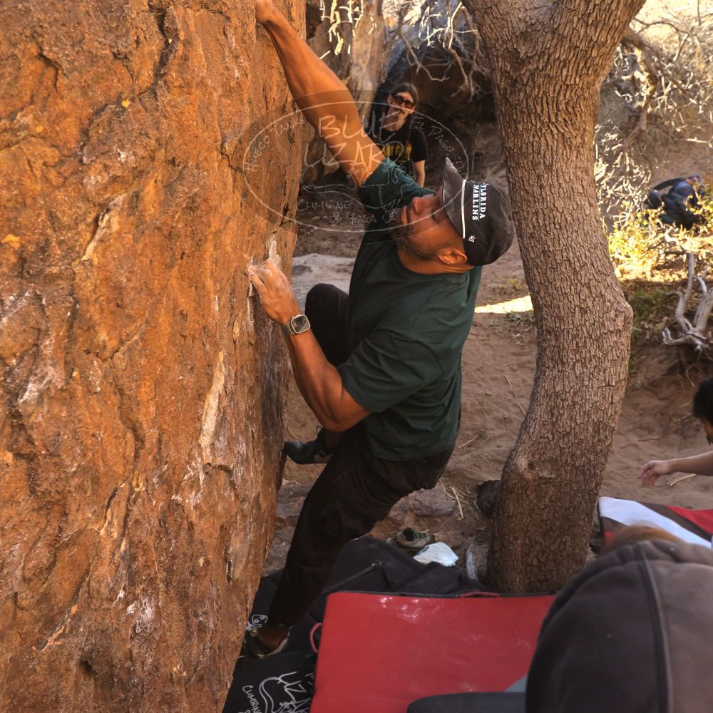 

Filename: SRM_20260117_1026110.jpg
Aperture: f/5.6
Shutter Speed: 1/320
Body: Canon EOS R6
Lens: Canon EF 16-35mm f/2.8 L