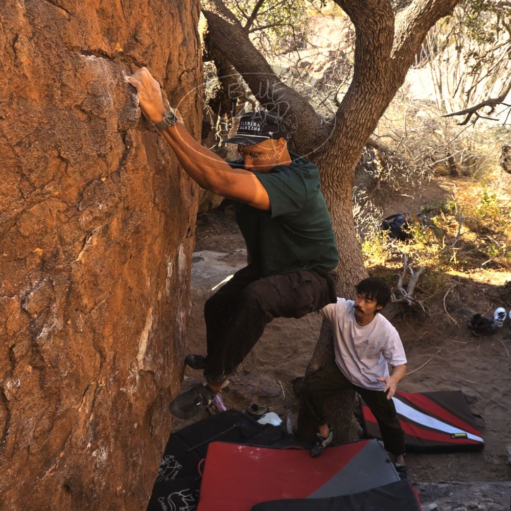 

Filename: SRM_20260117_1026160.jpg
Aperture: f/5.6
Shutter Speed: 1/320
Body: Canon EOS R6
Lens: Canon EF 16-35mm f/2.8 L