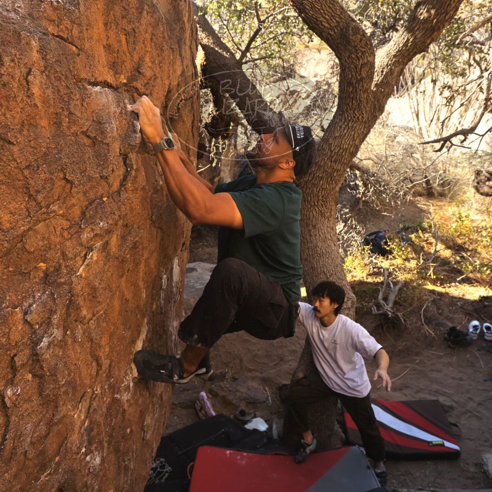 

Filename: SRM_20260117_1026180.jpg
Aperture: f/5.6
Shutter Speed: 1/320
Body: Canon EOS R6
Lens: Canon EF 16-35mm f/2.8 L