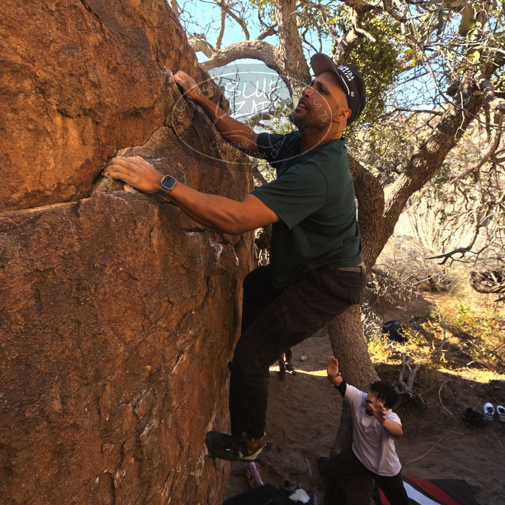 

Filename: SRM_20260117_1026260.jpg
Aperture: f/5.6
Shutter Speed: 1/320
Body: Canon EOS R6
Lens: Canon EF 16-35mm f/2.8 L