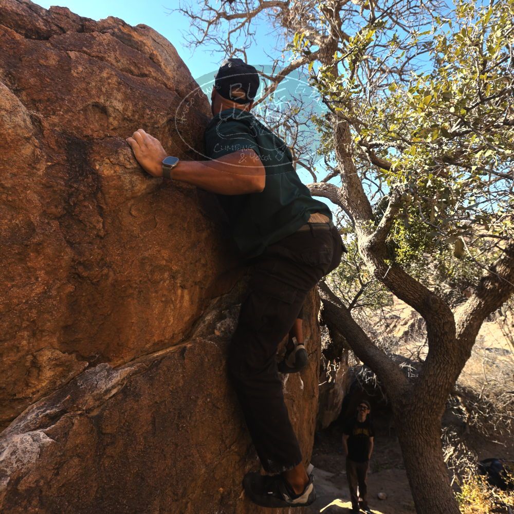 

Filename: SRM_20260117_1026340.jpg
Aperture: f/5.6
Shutter Speed: 1/320
Body: Canon EOS R6
Lens: Canon EF 16-35mm f/2.8 L