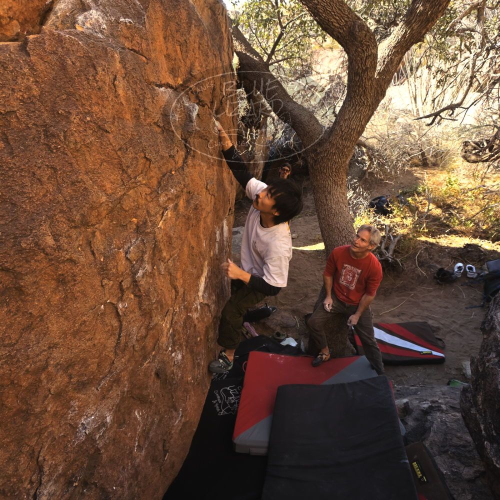 

Filename: SRM_20260117_1027250.jpg
Aperture: f/5.6
Shutter Speed: 1/320
Body: Canon EOS R6
Lens: Canon EF 16-35mm f/2.8 L