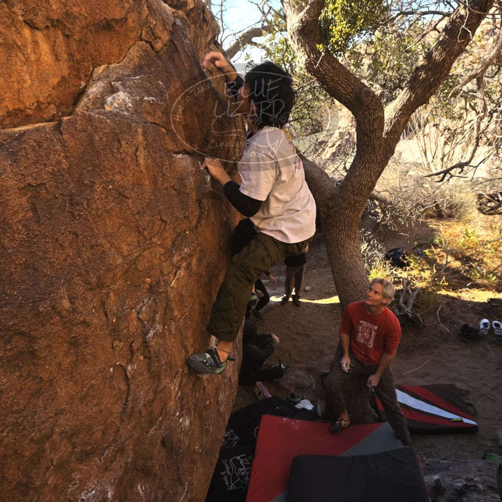 

Filename: SRM_20260117_1027290.jpg
Aperture: f/5.6
Shutter Speed: 1/320
Body: Canon EOS R6
Lens: Canon EF 16-35mm f/2.8 L