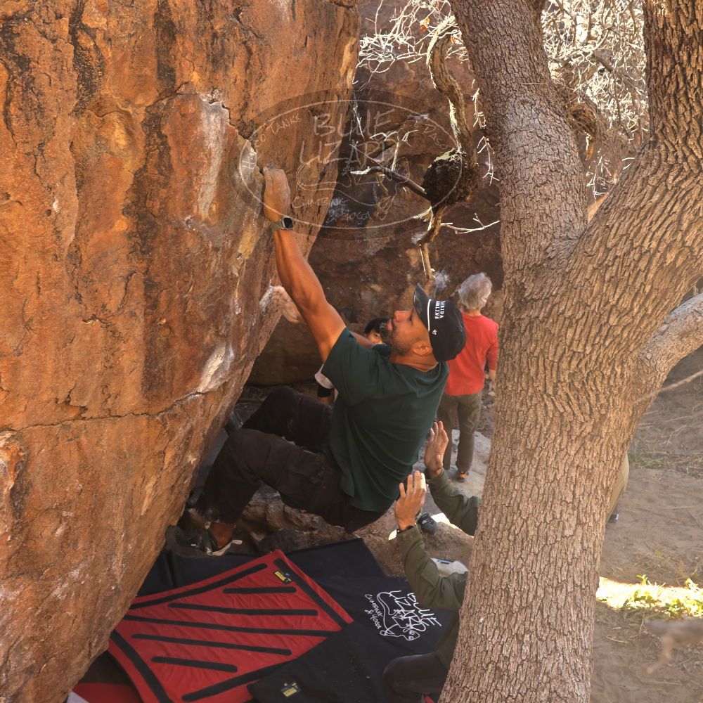 

Filename: SRM_20260117_1035560.jpg
Aperture: f/5.6
Shutter Speed: 1/320
Body: Canon EOS R6
Lens: Canon EF 16-35mm f/2.8 L