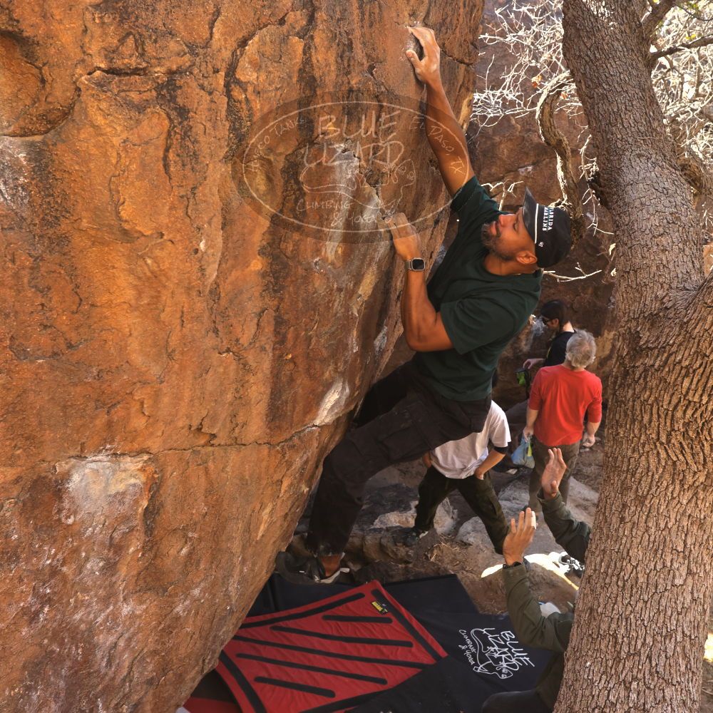 

Filename: SRM_20260117_1035581.jpg
Aperture: f/5.6
Shutter Speed: 1/320
Body: Canon EOS R6
Lens: Canon EF 16-35mm f/2.8 L