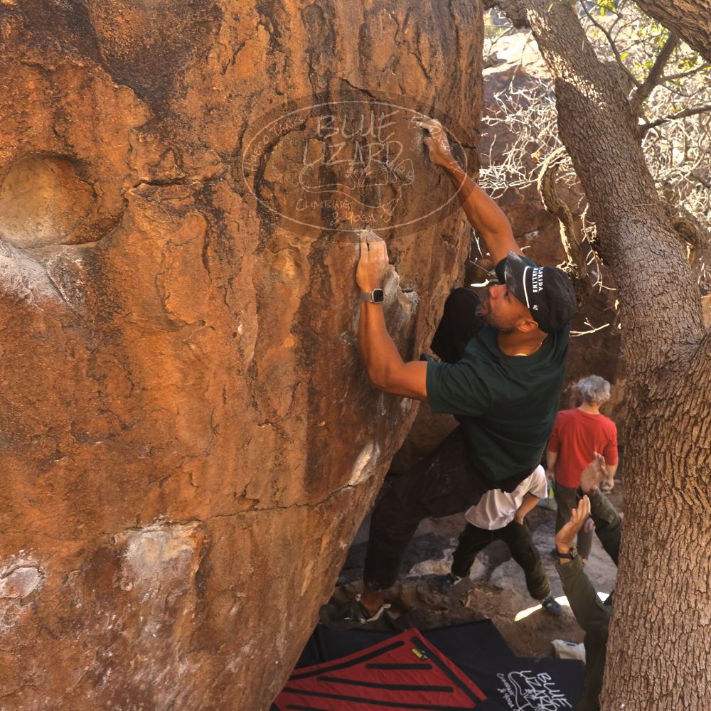 

Filename: SRM_20260117_1036020.jpg
Aperture: f/5.6
Shutter Speed: 1/320
Body: Canon EOS R6
Lens: Canon EF 16-35mm f/2.8 L