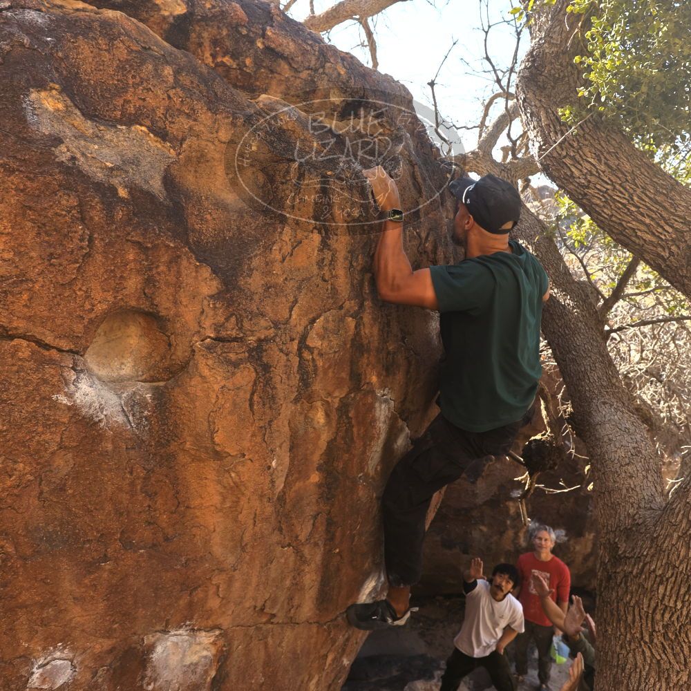 

Filename: SRM_20260117_1036090.jpg
Aperture: f/5.6
Shutter Speed: 1/320
Body: Canon EOS R6
Lens: Canon EF 16-35mm f/2.8 L