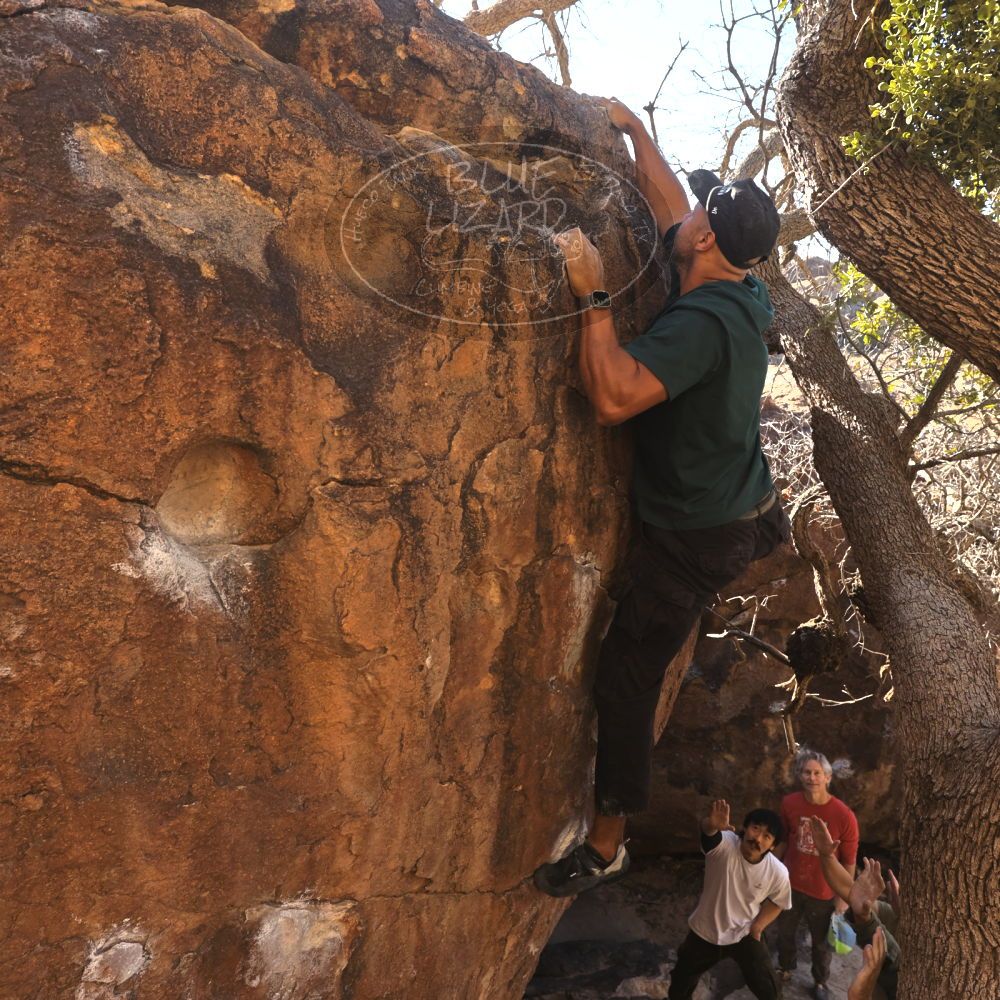 

Filename: SRM_20260117_1036110.jpg
Aperture: f/5.6
Shutter Speed: 1/320
Body: Canon EOS R6
Lens: Canon EF 16-35mm f/2.8 L