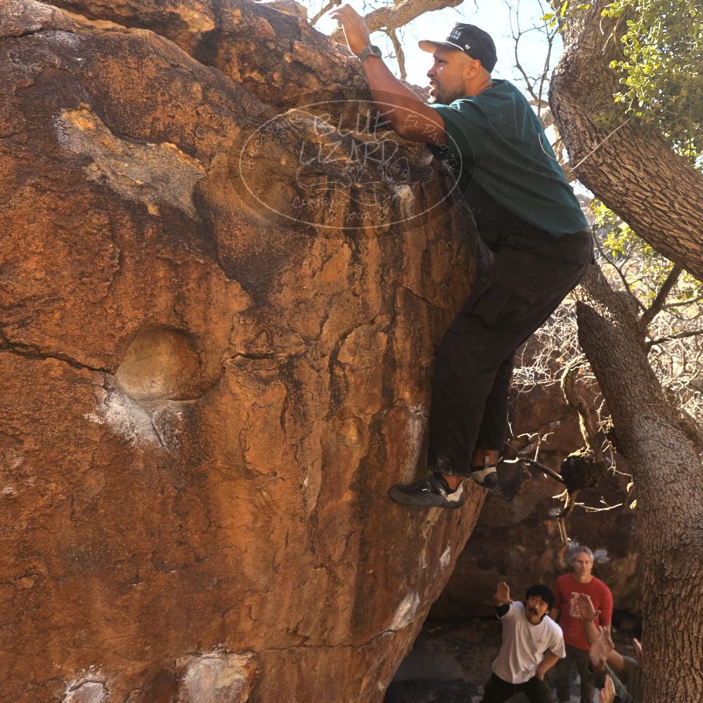 

Filename: SRM_20260117_1036140.jpg
Aperture: f/5.6
Shutter Speed: 1/320
Body: Canon EOS R6
Lens: Canon EF 16-35mm f/2.8 L