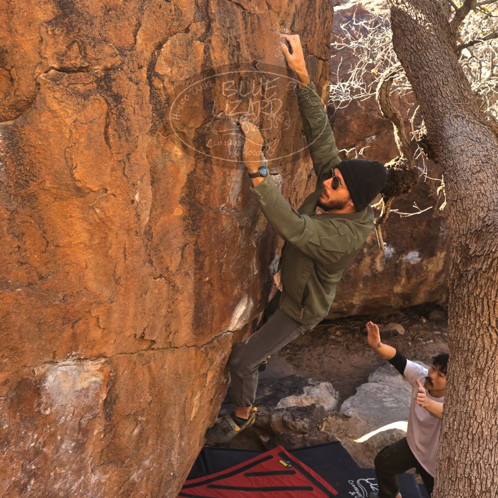 

Filename: SRM_20260117_1038330.jpg
Aperture: f/5.6
Shutter Speed: 1/320
Body: Canon EOS R6
Lens: Canon EF 16-35mm f/2.8 L