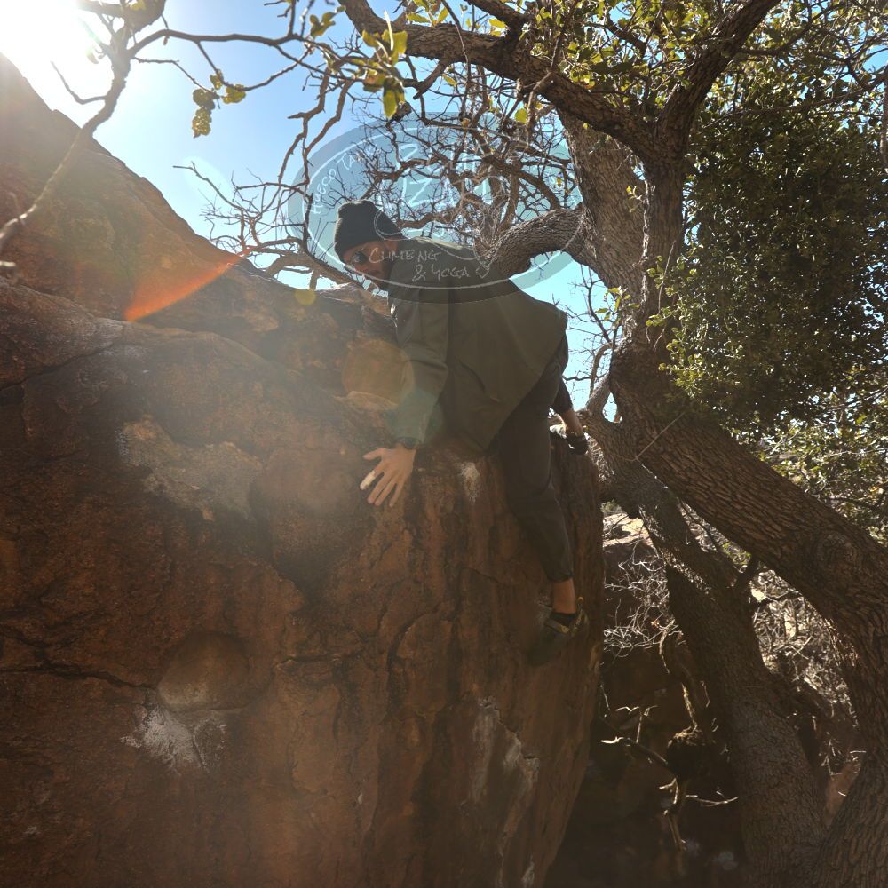 

Filename: SRM_20260117_1038550.jpg
Aperture: f/5.6
Shutter Speed: 1/320
Body: Canon EOS R6
Lens: Canon EF 16-35mm f/2.8 L