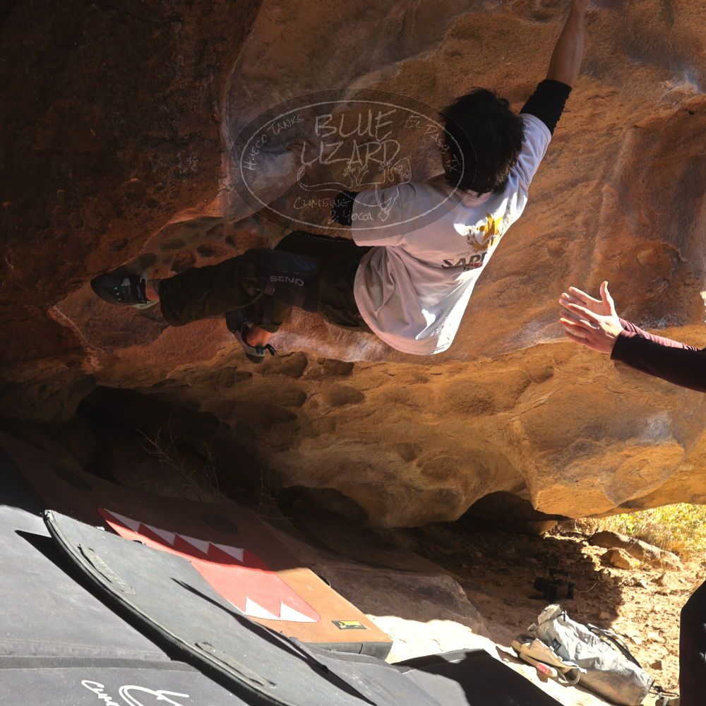 

Filename: SRM_20260117_1056590.jpg
Aperture: f/5.6
Shutter Speed: 1/320
Body: Canon EOS R6
Lens: Canon EF 16-35mm f/2.8 L