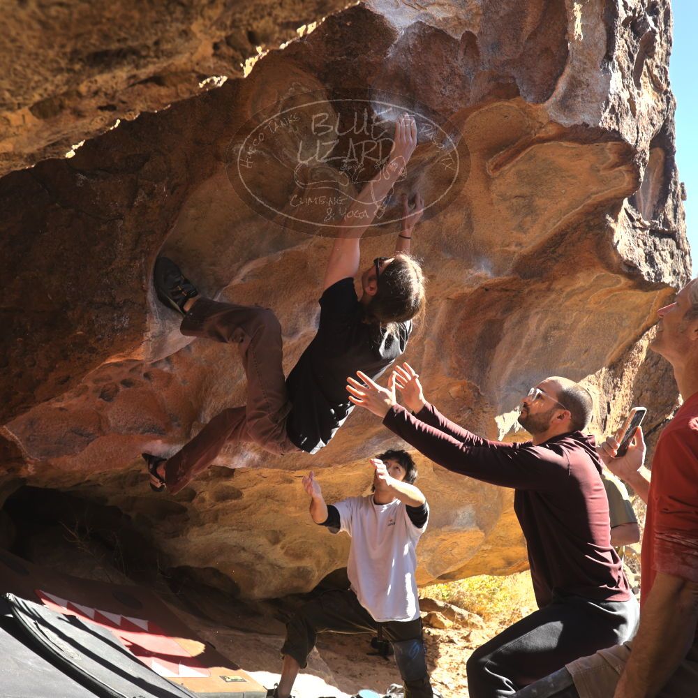 

Filename: SRM_20260117_1059050.jpg
Aperture: f/5.6
Shutter Speed: 1/320
Body: Canon EOS R6
Lens: Canon EF 16-35mm f/2.8 L