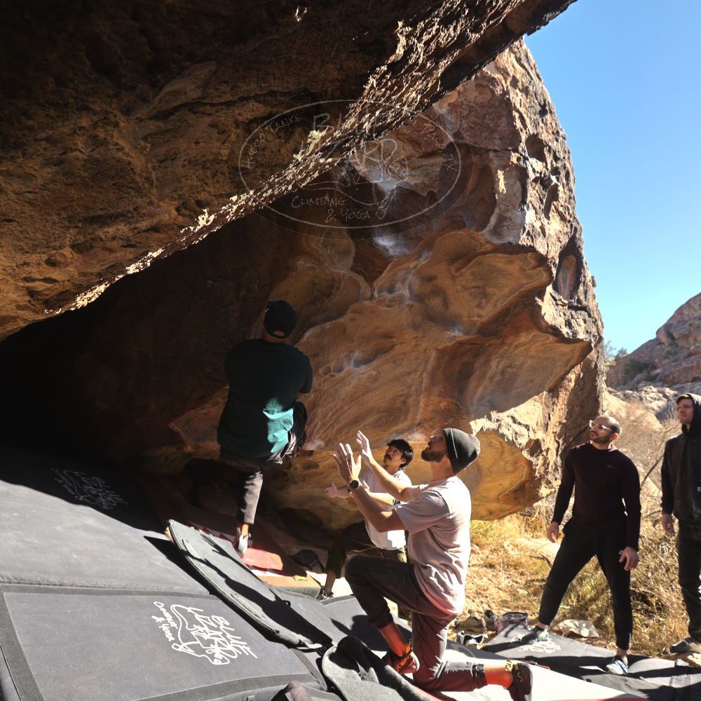 

Filename: SRM_20260117_1101010.jpg
Aperture: f/5.6
Shutter Speed: 1/320
Body: Canon EOS R6
Lens: Canon EF 16-35mm f/2.8 L