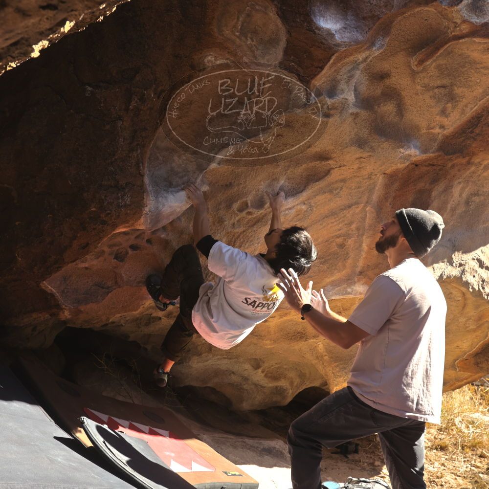 

Filename: SRM_20260117_1104070.jpg
Aperture: f/5.6
Shutter Speed: 1/500
Body: Canon EOS R6
Lens: Canon EF 16-35mm f/2.8 L