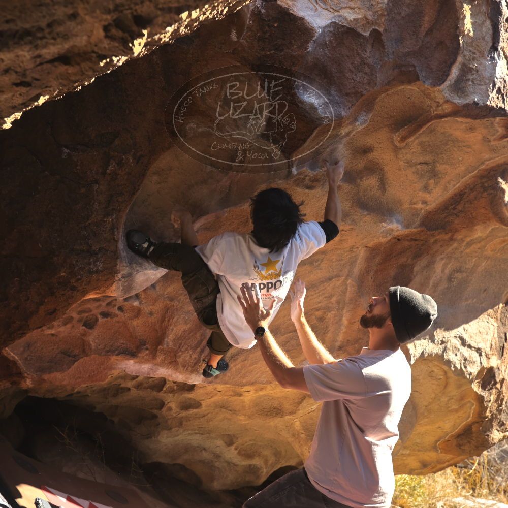 

Filename: SRM_20260117_1104150.jpg
Aperture: f/5.6
Shutter Speed: 1/500
Body: Canon EOS R6
Lens: Canon EF 16-35mm f/2.8 L