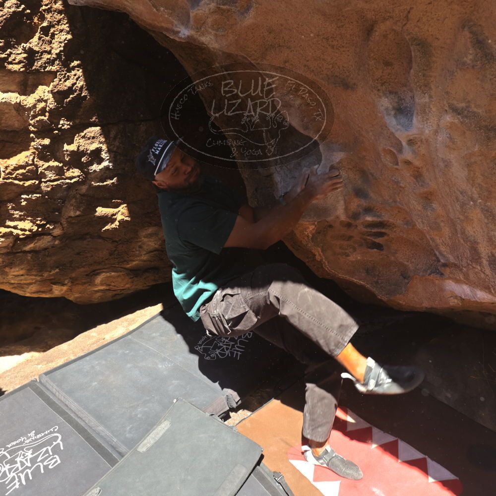 

Filename: SRM_20260117_1105490.jpg
Aperture: f/5.6
Shutter Speed: 1/500
Body: Canon EOS R6
Lens: Canon EF 16-35mm f/2.8 L