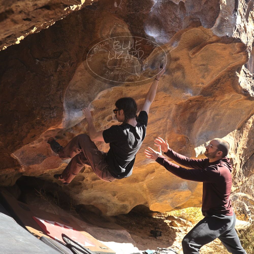 

Filename: SRM_20260117_1108220.jpg
Aperture: f/5.6
Shutter Speed: 1/500
Body: Canon EOS R6
Lens: Canon EF 16-35mm f/2.8 L