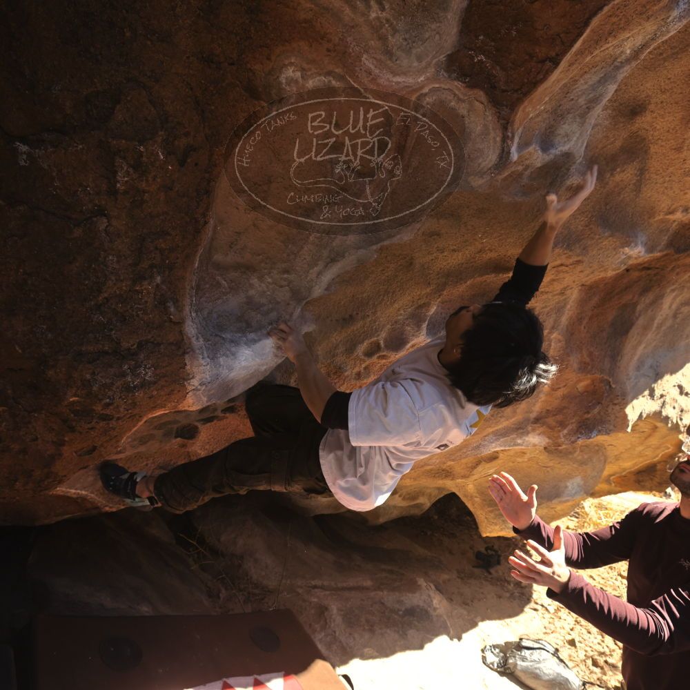 

Filename: SRM_20260117_1114100.jpg
Aperture: f/5.6
Shutter Speed: 1/500
Body: Canon EOS R6
Lens: Canon EF 16-35mm f/2.8 L