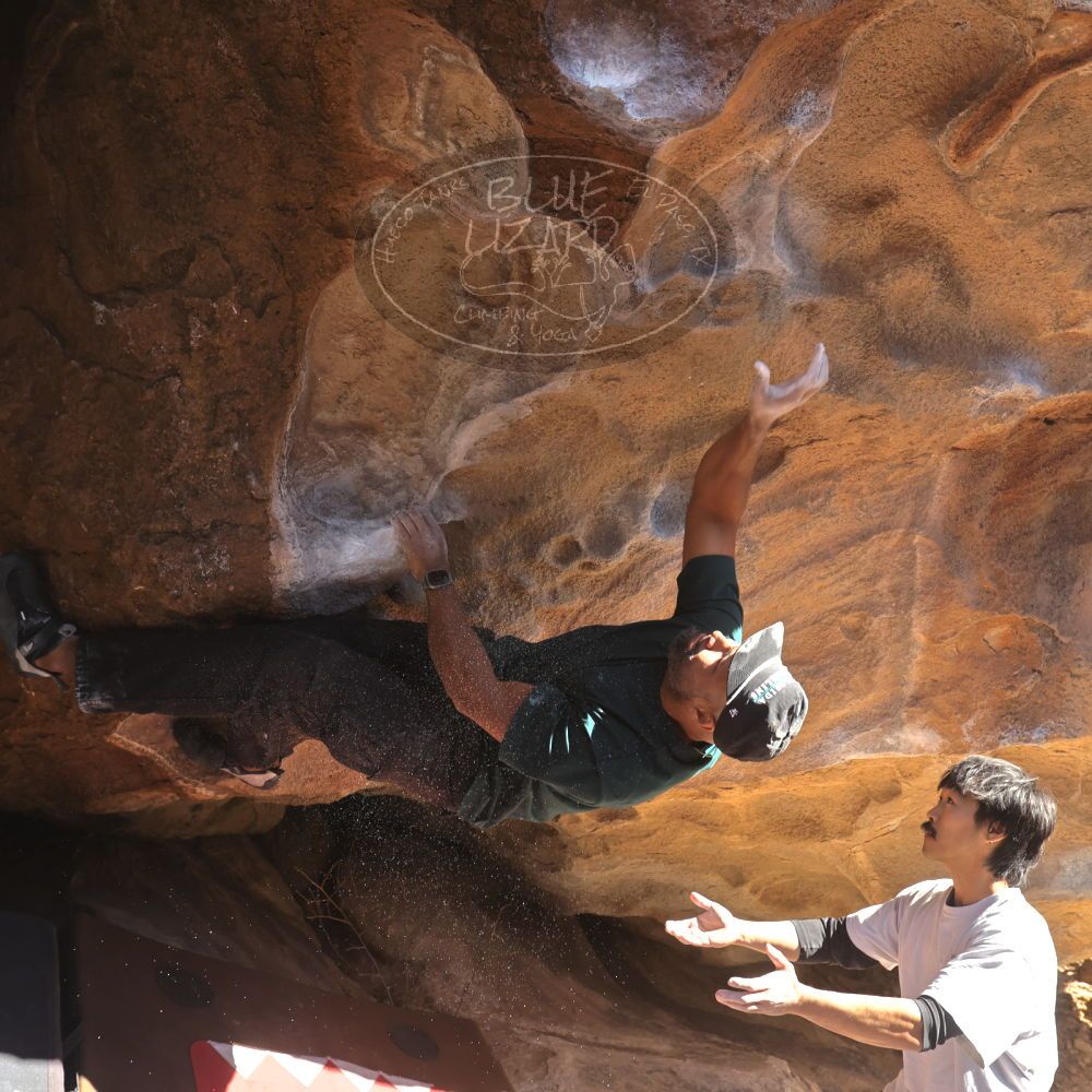 

Filename: SRM_20260117_1115360.jpg
Aperture: f/5.6
Shutter Speed: 1/500
Body: Canon EOS R6
Lens: Canon EF 16-35mm f/2.8 L