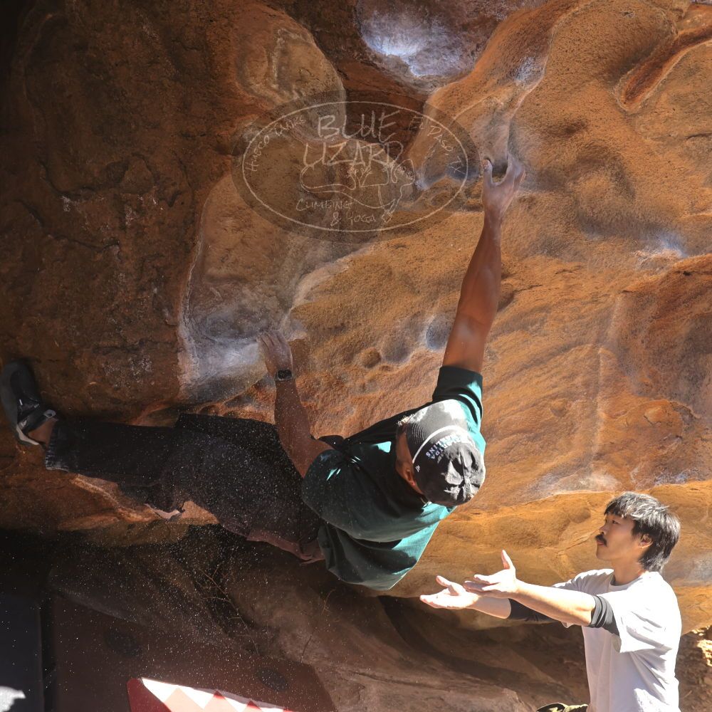 

Filename: SRM_20260117_1115370.jpg
Aperture: f/5.6
Shutter Speed: 1/500
Body: Canon EOS R6
Lens: Canon EF 16-35mm f/2.8 L