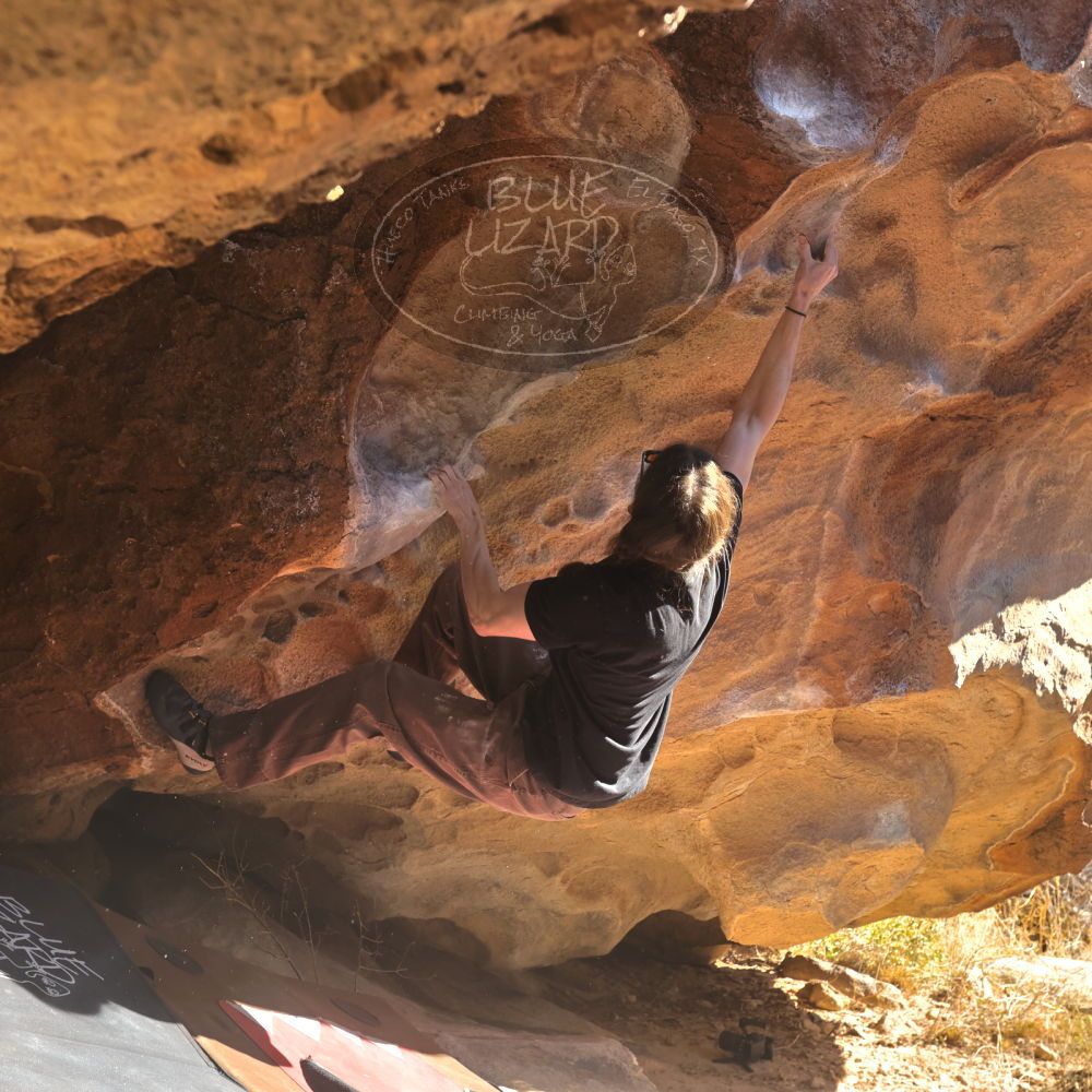 

Filename: SRM_20260117_1117080.jpg
Aperture: f/5.6
Shutter Speed: 1/500
Body: Canon EOS R6
Lens: Canon EF 16-35mm f/2.8 L