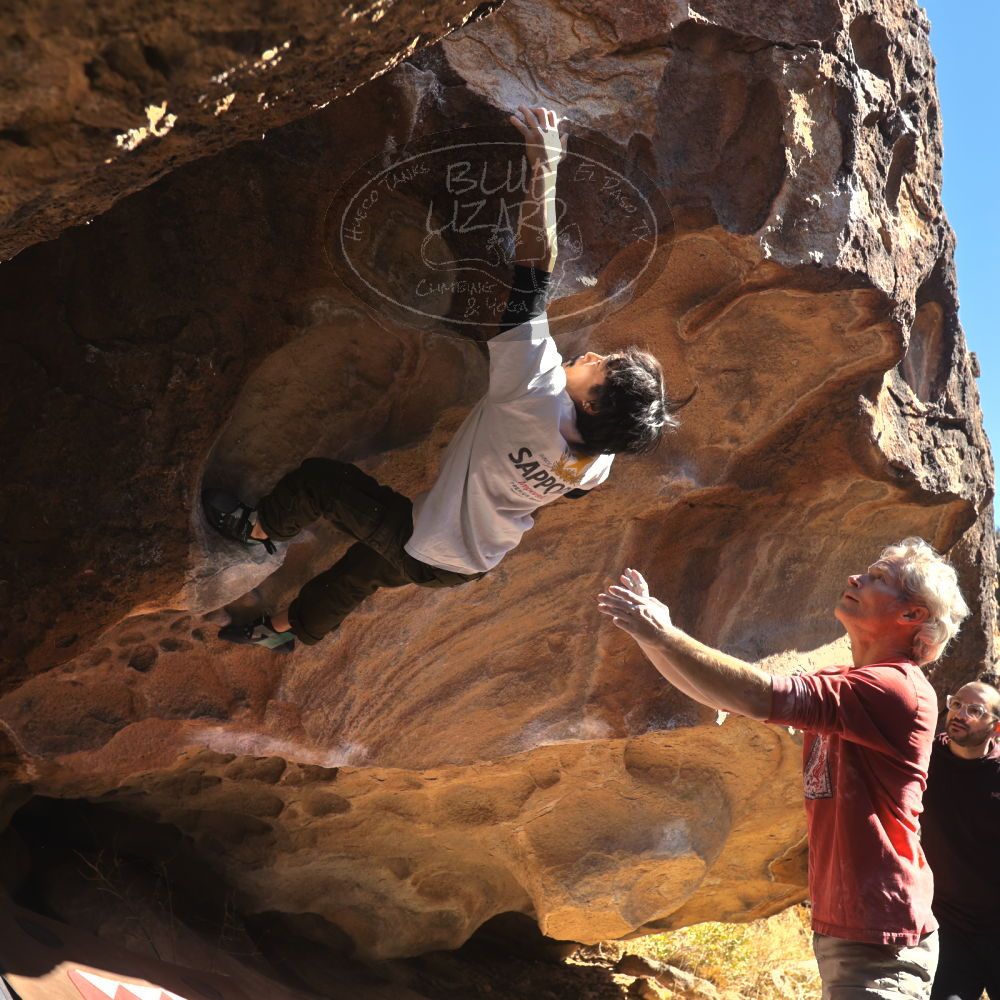 

Filename: SRM_20260117_1123481.jpg
Aperture: f/5.6
Shutter Speed: 1/500
Body: Canon EOS R6
Lens: Canon EF 16-35mm f/2.8 L