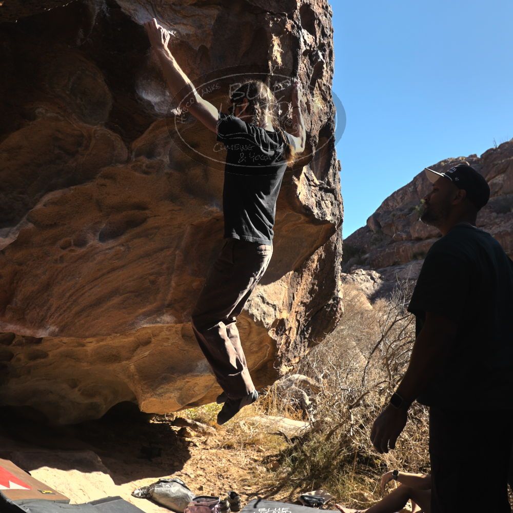 

Filename: SRM_20260117_1127560.jpg
Aperture: f/5.6
Shutter Speed: 1/500
Body: Canon EOS R6
Lens: Canon EF 16-35mm f/2.8 L